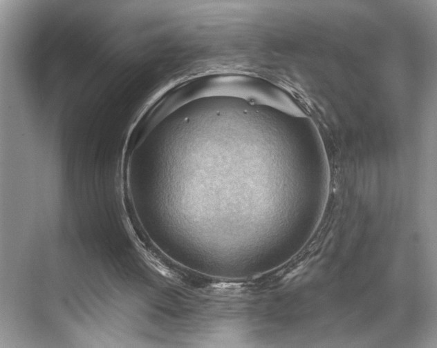 X0000076220052200609281123