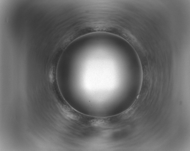 X0000076220074200609281123