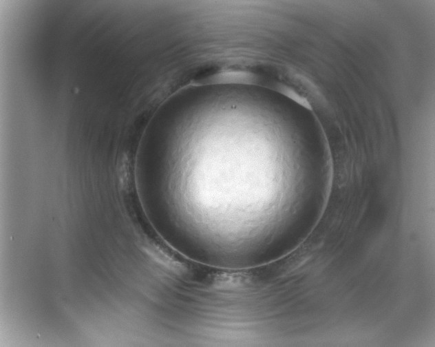 X0000076220077200609281123