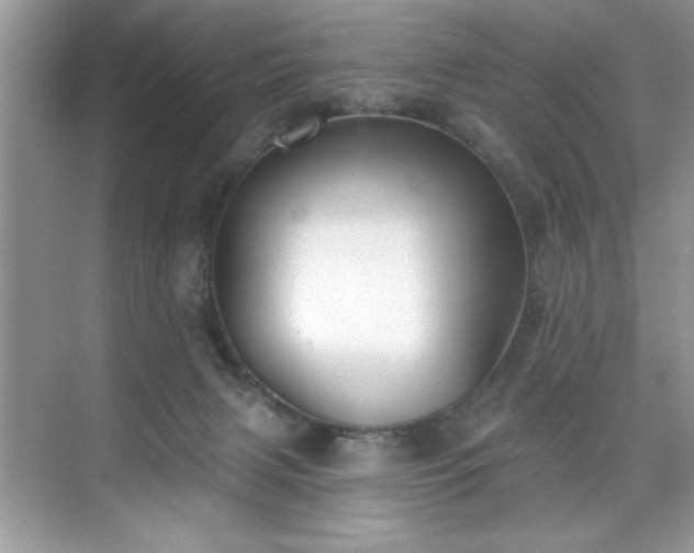 X0000076220079200609281123