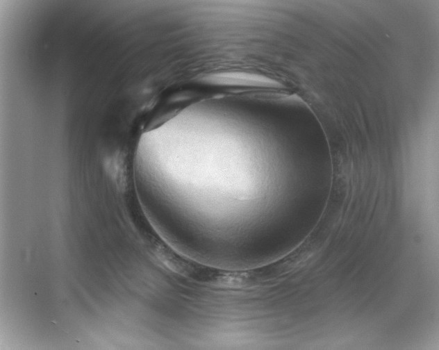 X0000076220080200609281123