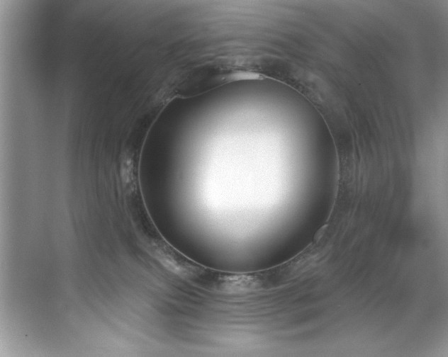 X0000076220087200609281124