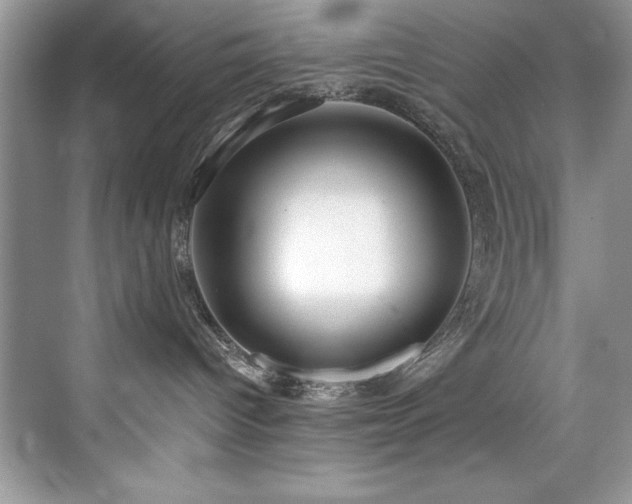 X0000076220096200609281124