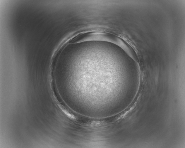 X0000076220101200609281123