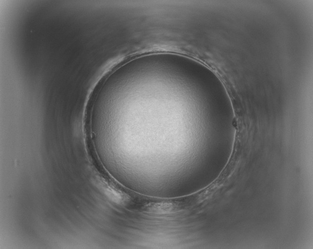 X0000076220104200609281123