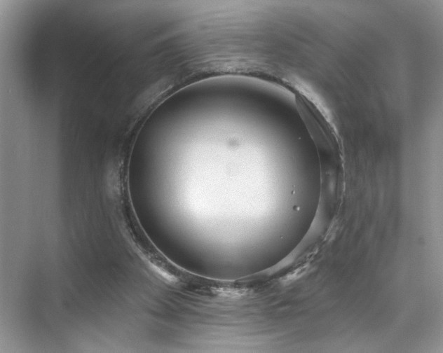 X0000076220105200609281123