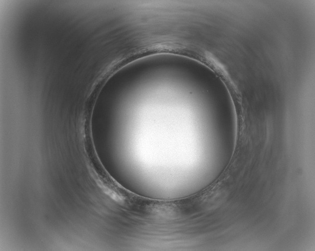 X0000076220106200609281123