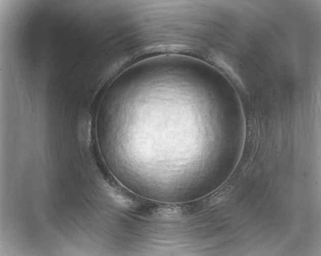 X0000076220110200609281123