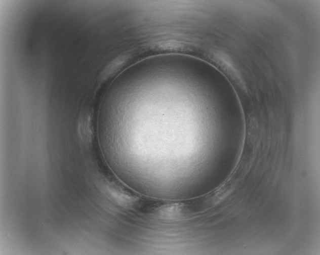 X0000076220116200609281123