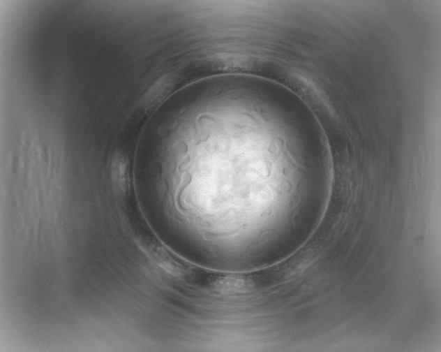 X0000076220123200609281122