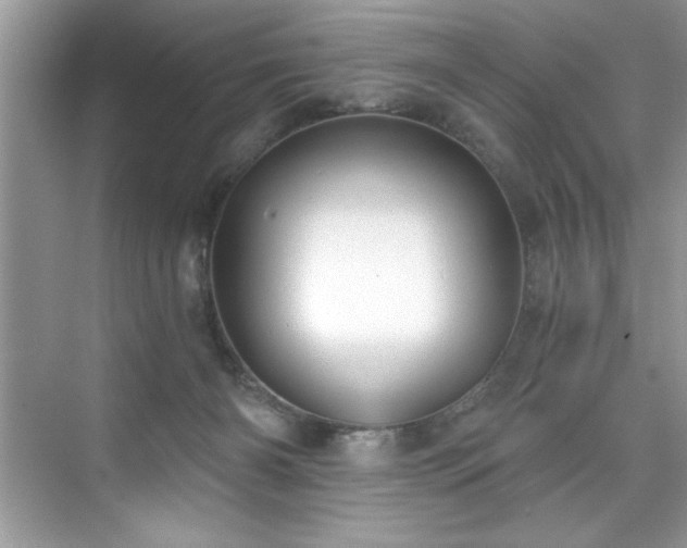 X0000076220126200609281122