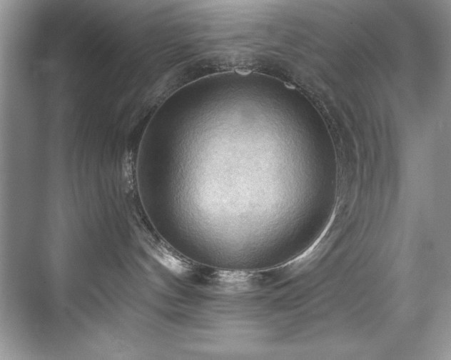 X0000076220144200609281122