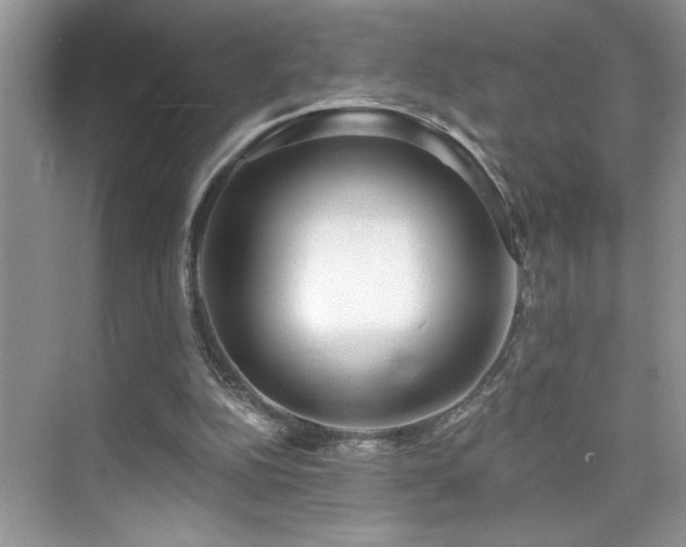 X0000076220152200609281121