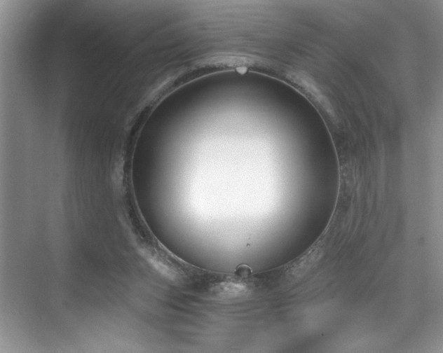 X0000076220159200609281122