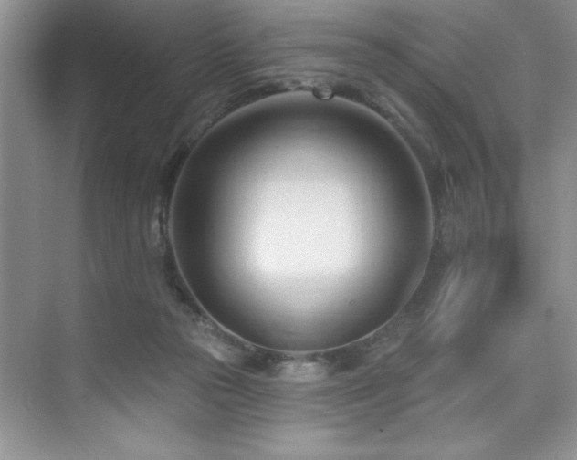 X0000076220169200609281122