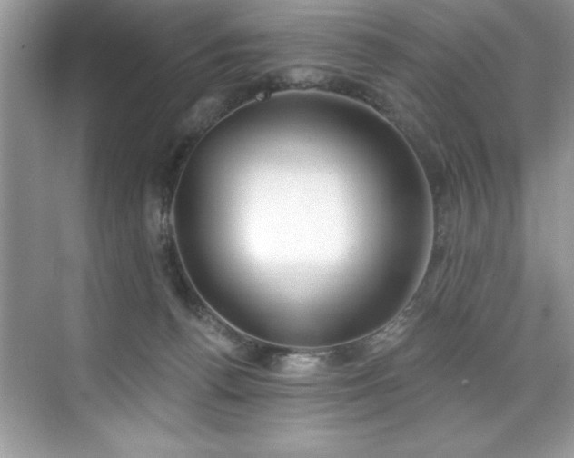 X0000076220176200609281122