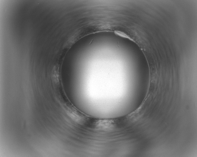 X0000076220179200609281122