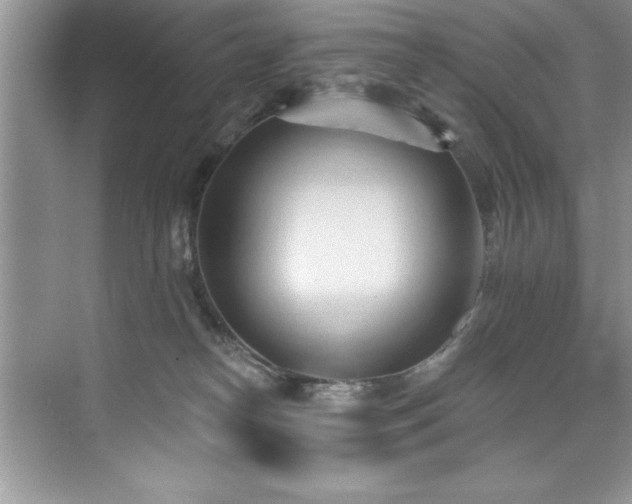 X0000076220182200609281122
