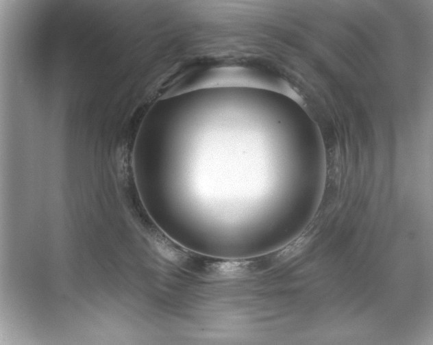 X0000076220184200609281122