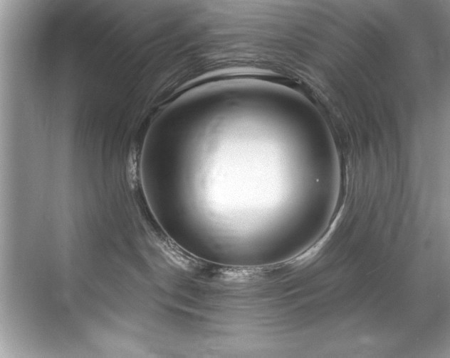 X0000076220190200609281122