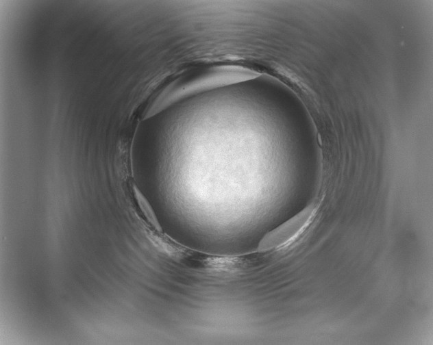 X0000076220192200609281122