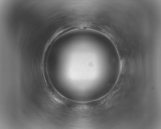 X0000076220195200609281121