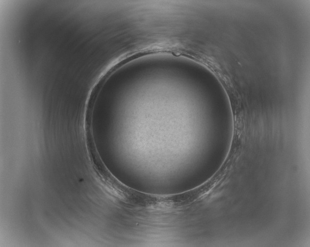 X0000076220196200609281121