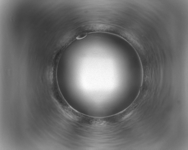 X0000076220206200609281121