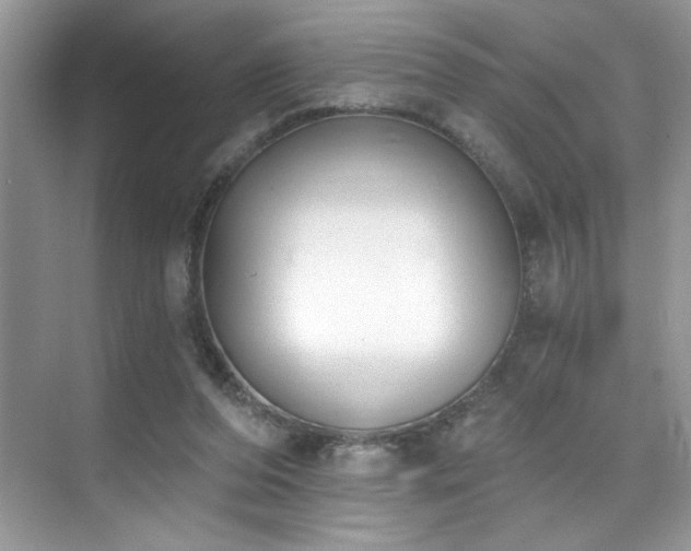 X0000076220208200609281121