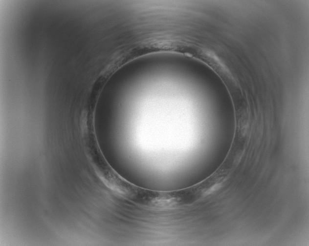 X0000076220213200609281121
