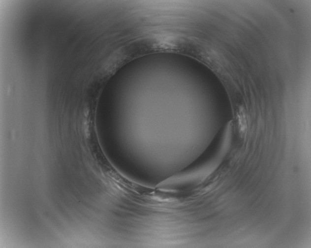 X0000076220223200609281121