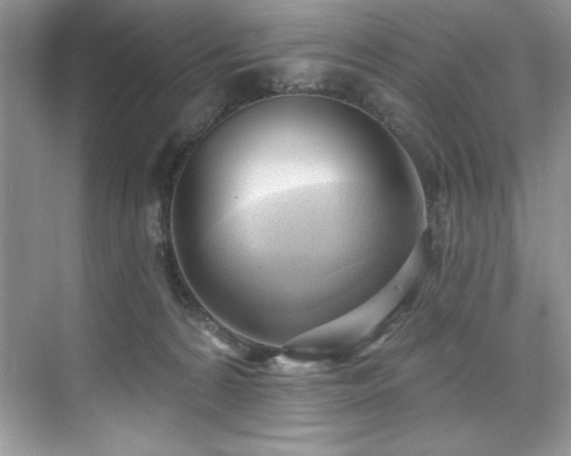 X0000076220224200609281121