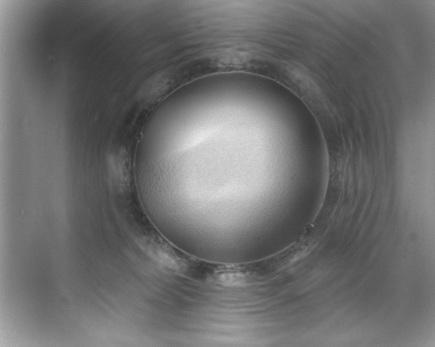 X0000076220228200609281121