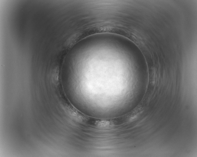 X0000076220230200609281121