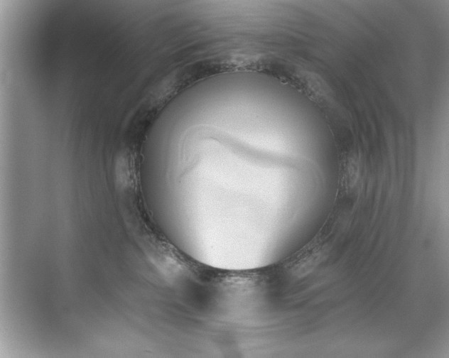 X0000076220236200609281121
