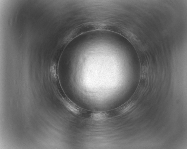 X0000076220238200609281120
