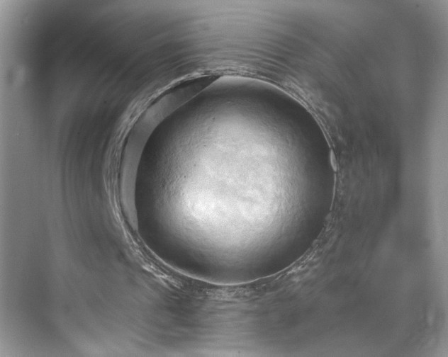 X0000076220241200609281120