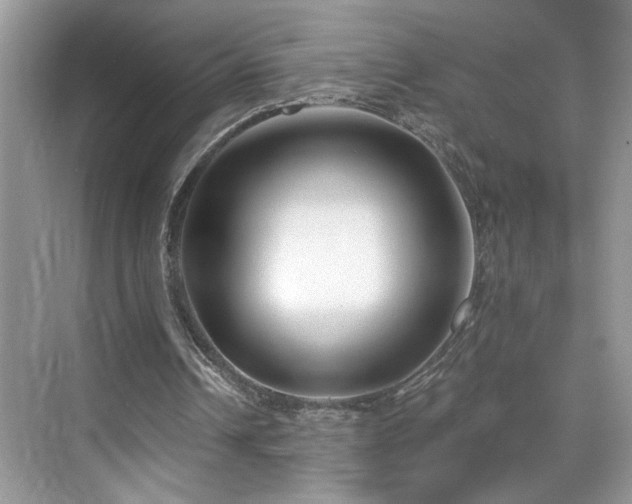 X0000076220242200609281120