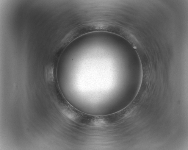 X0000076220262200609281120