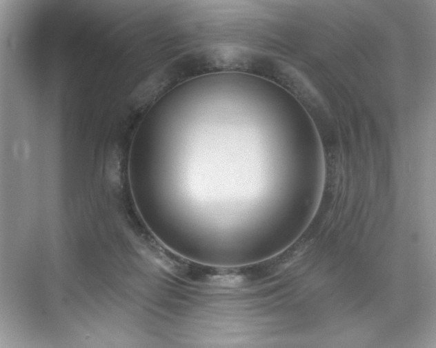 X0000076220266200609281120