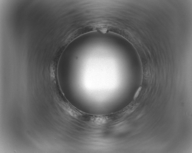 X0000076220282200609281120