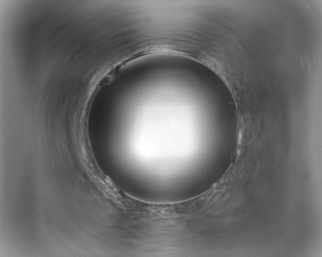 X0000076220289200609281120