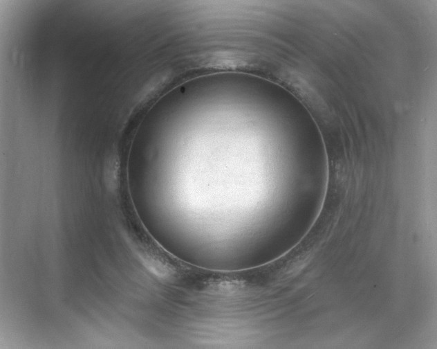 X0000076220304200609281119