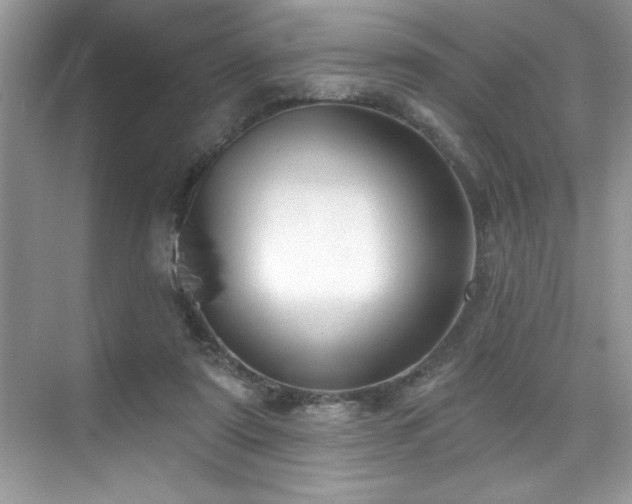 X0000076220307200609281119