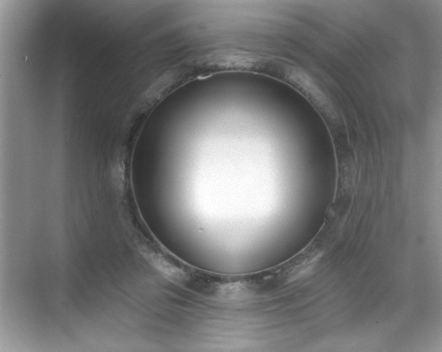 X0000076220309200609281119