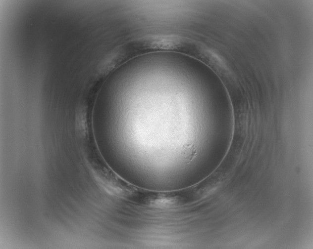 X0000076220312200609281119