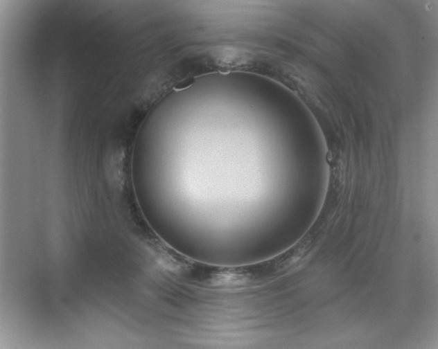 X0000076220319200609281119