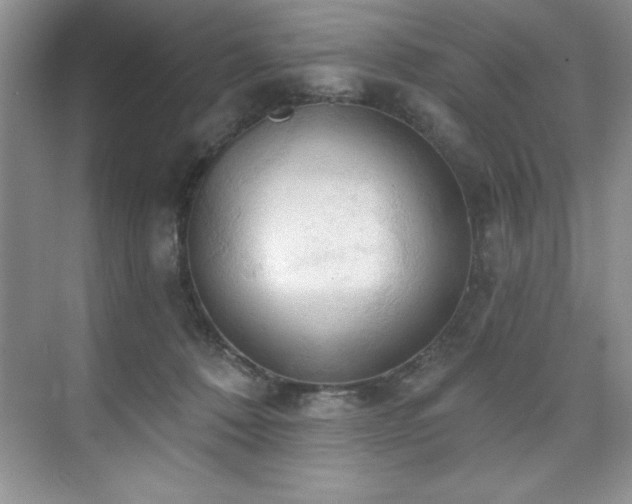 X0000076220320200609281119