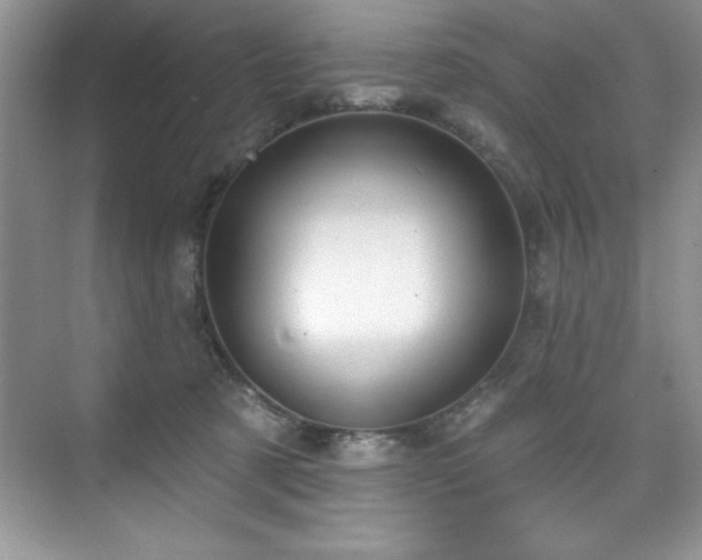 X0000076220321200609281119