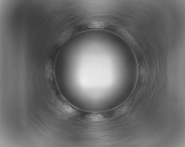 X0000076220322200609281119
